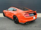 Used 2016 Ford Mustang Shelby GT350 w/ Technology Package image 3