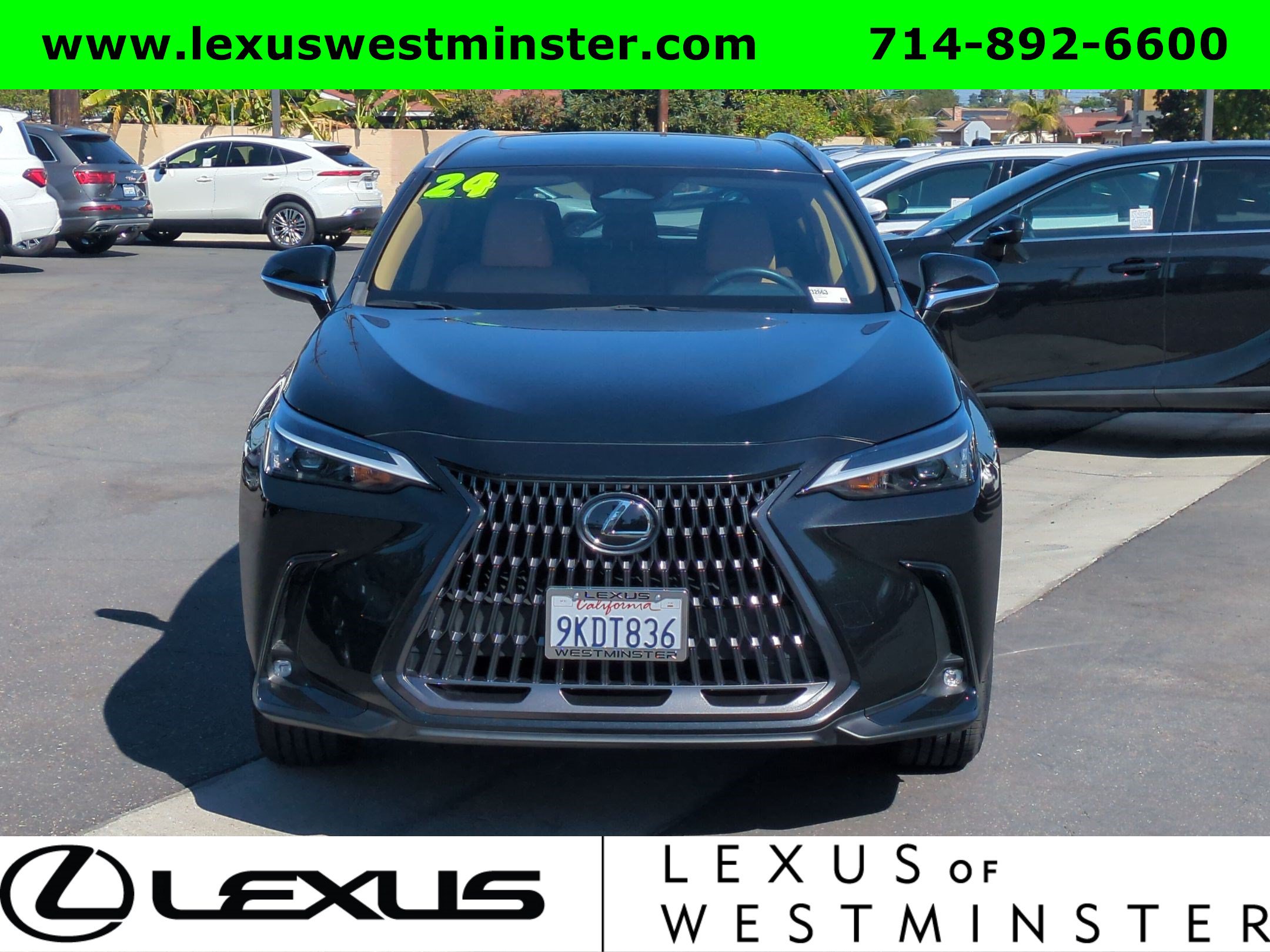 Certified 2024 Lexus NX 250 FWD image 2