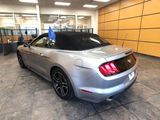 Certified 2023 Ford Mustang Premium image 5