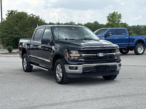 Certified 2025 Ford F150 XLT w/ Equipment Group 301A Standard AWD/4WD image 3
