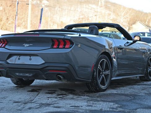 Used 2024 Ford Mustang Premium image 7