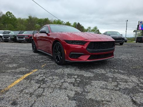 Used 2024 Ford Mustang Coupe RWD image 3