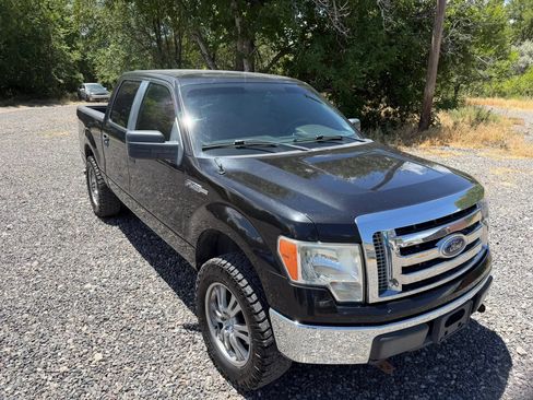 Used 2010 Ford F150 XLT AWD/4WD image 3