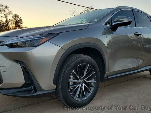 Used 2024 Lexus NX 250 FWD w/ Cold Area Package image 2