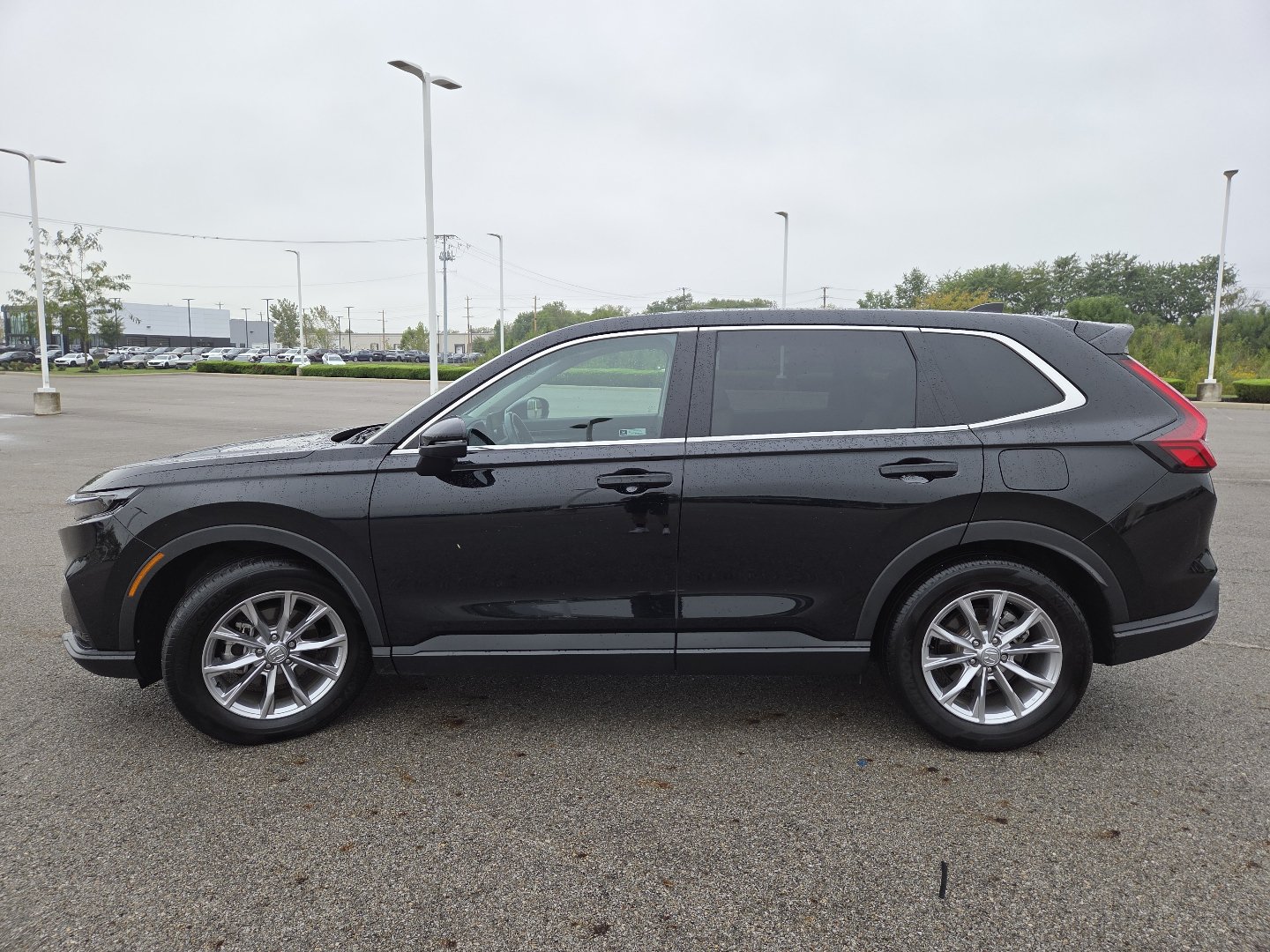 Used 2024 Honda CR-V EX-L image 14