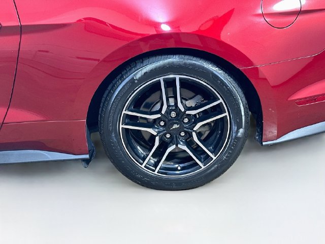 Used 2019 Ford Mustang GT Premium w/ Equipment Group 401A RWD image 6