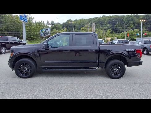 Certified 2025 Ford F150 STX w/ STX Black Appearance Package AWD/4WD image 5