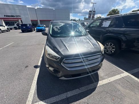 Used 2019 Ford Escape SEL FWD image 12