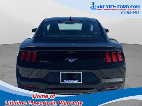 Used 2024 Ford Mustang Premium image 4
