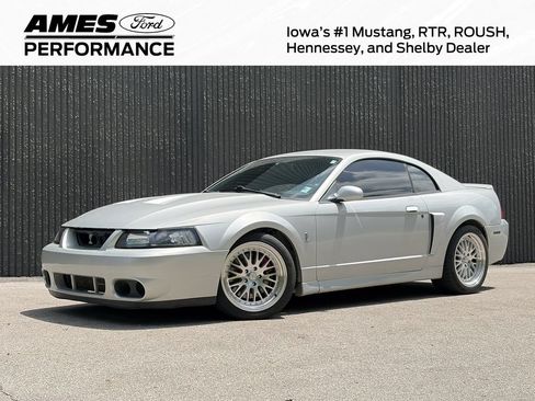 Used 2003 Ford Mustang Cobra RWD image 1