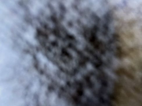 Used 2021 Lexus RX 350 FWD w/ Premium Package image 36