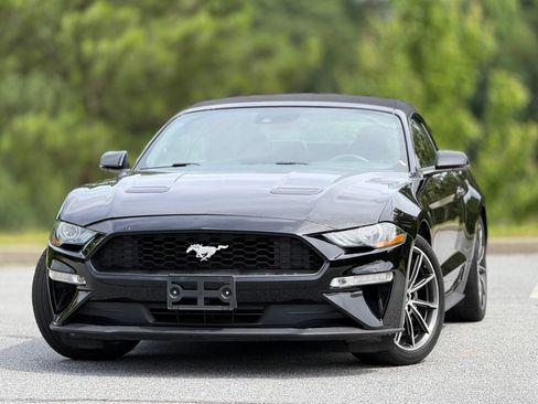 Used 2019 Ford Mustang Premium w/ Equipment Group 201A RWD image 2