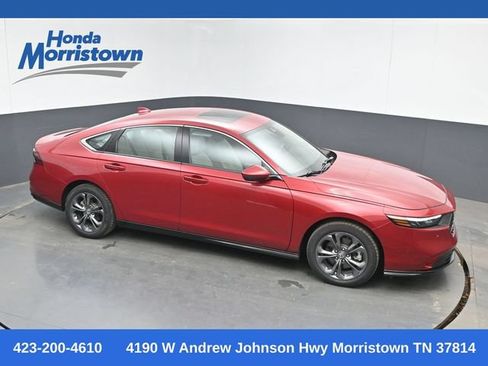 Used 2024 Honda Accord EX-L image 1