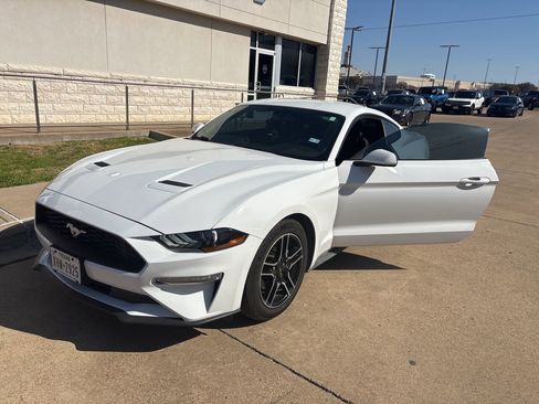 Used 2019 Ford Mustang Coupe w/ Equipment Group 101A image 1