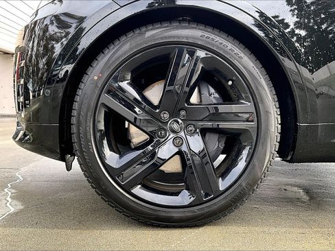 New 2026 Land Rover Discovery Limited Edition image 12