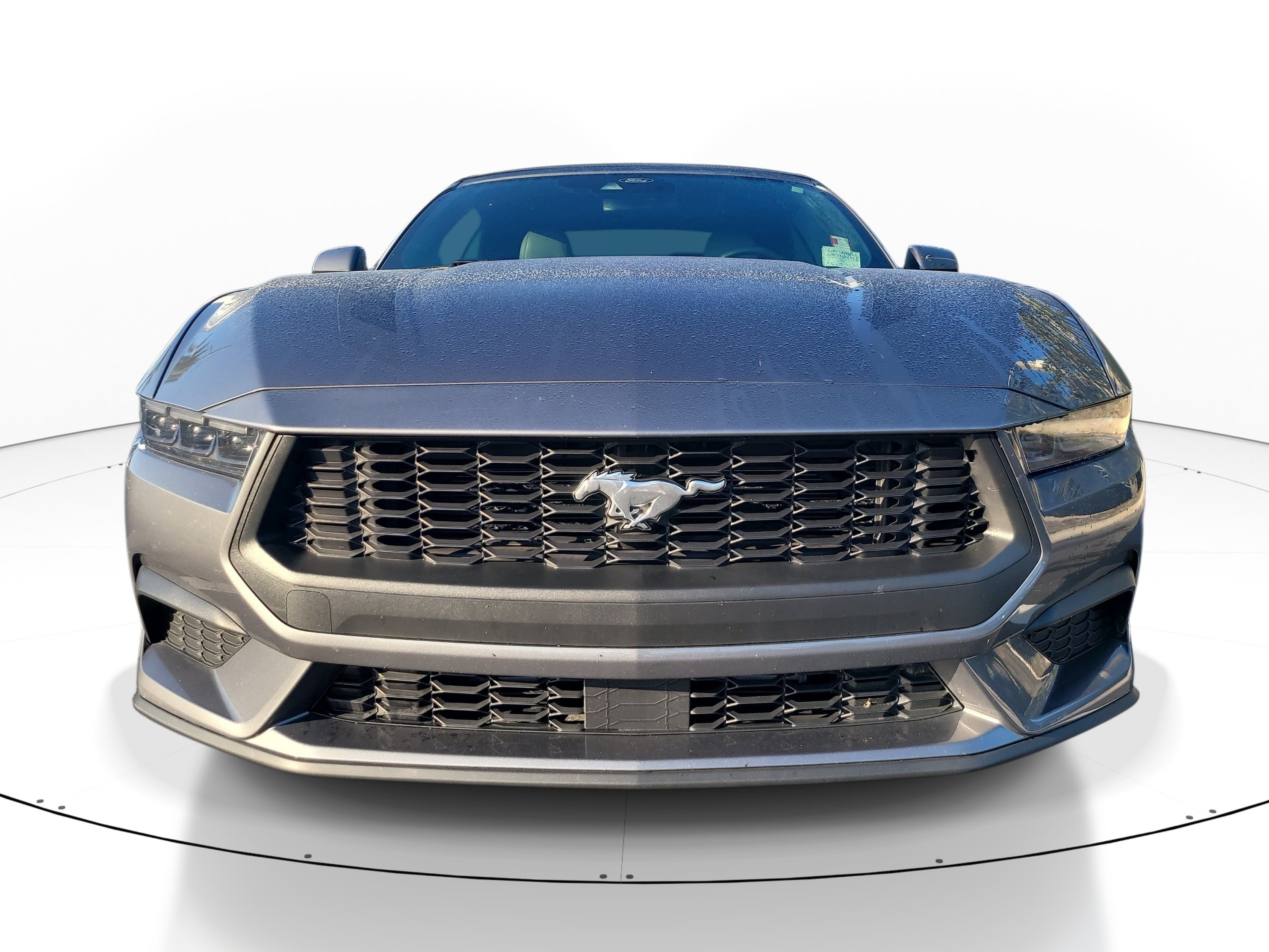Used 2025 Ford Mustang Premium w/ Wheel & Stripe Package RWD image 2