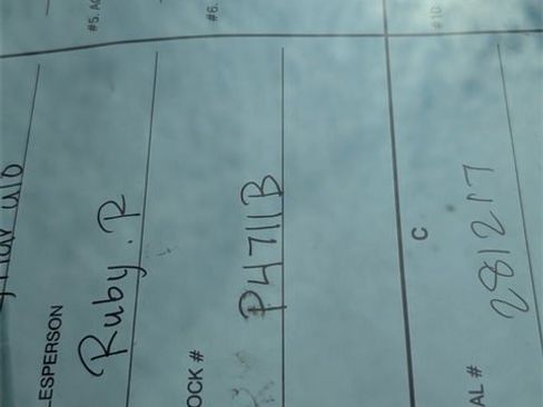 Used 2021 Tesla Model 3 Standard Range Plus image 10