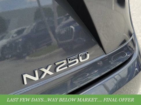 Used 2024 Lexus NX 250 FWD w/ Cold Area Package image 5