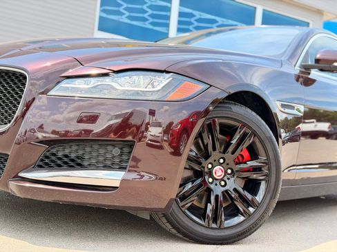 Used 2016 Jaguar XF Premium RWD image 4