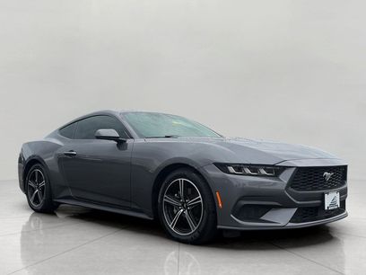 Used 2024 Ford Mustang Premium