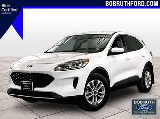 Used 2020 Ford Escape SE AWD/4WD video 1