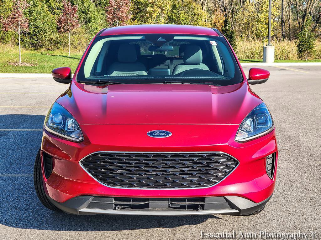 Used 2020 Ford Escape SE FWD image 4