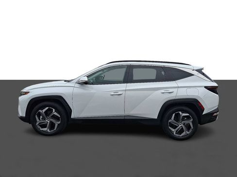 Used 2024 Hyundai Tucson Limited AWD/4WD image 4