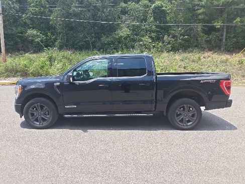 Used 2023 Ford F150 XLT w/ Equipment Group 302A High AWD/4WD image 5