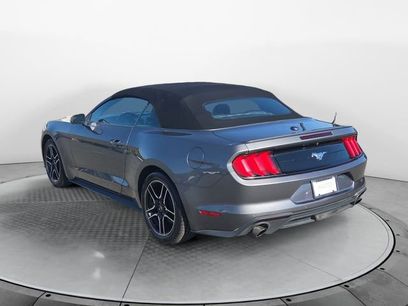 Used 2023 Ford Mustang Premium