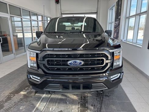 Used 2023 Ford F150 XLT w/ Equipment Group 302A High image 2