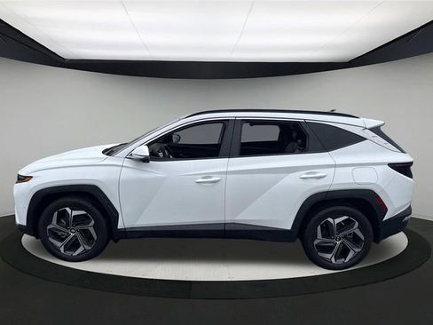 Certified 2022 Hyundai Tucson Limited image 13