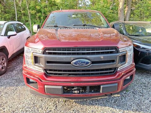 Used 2019 Ford F150 XLT w/ Equipment Group 302A Luxury AWD/4WD image 2