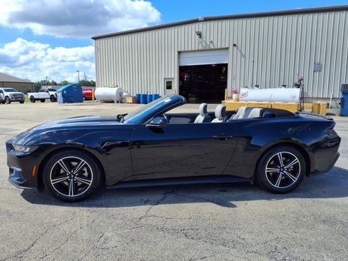 Used 2024 Ford Mustang Premium image 6