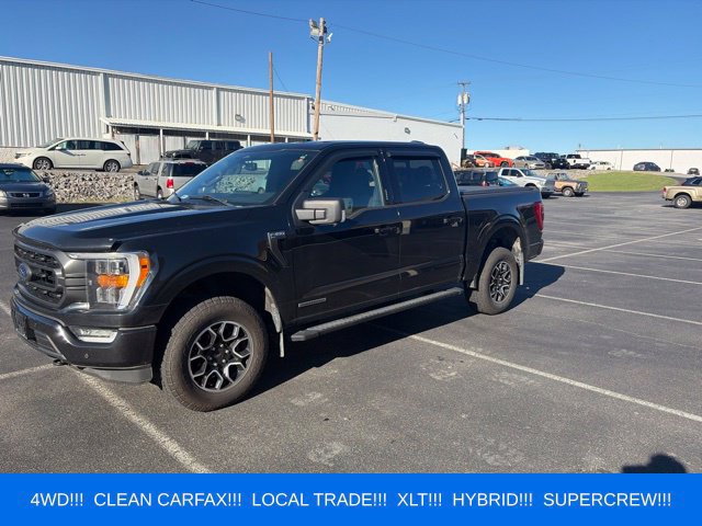 Used 2021 Ford F150 XLT w/ Equipment Group 302A High AWD/4WD image 1