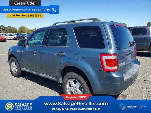 Used 2010 Ford Escape XLT AWD/4WD image 3