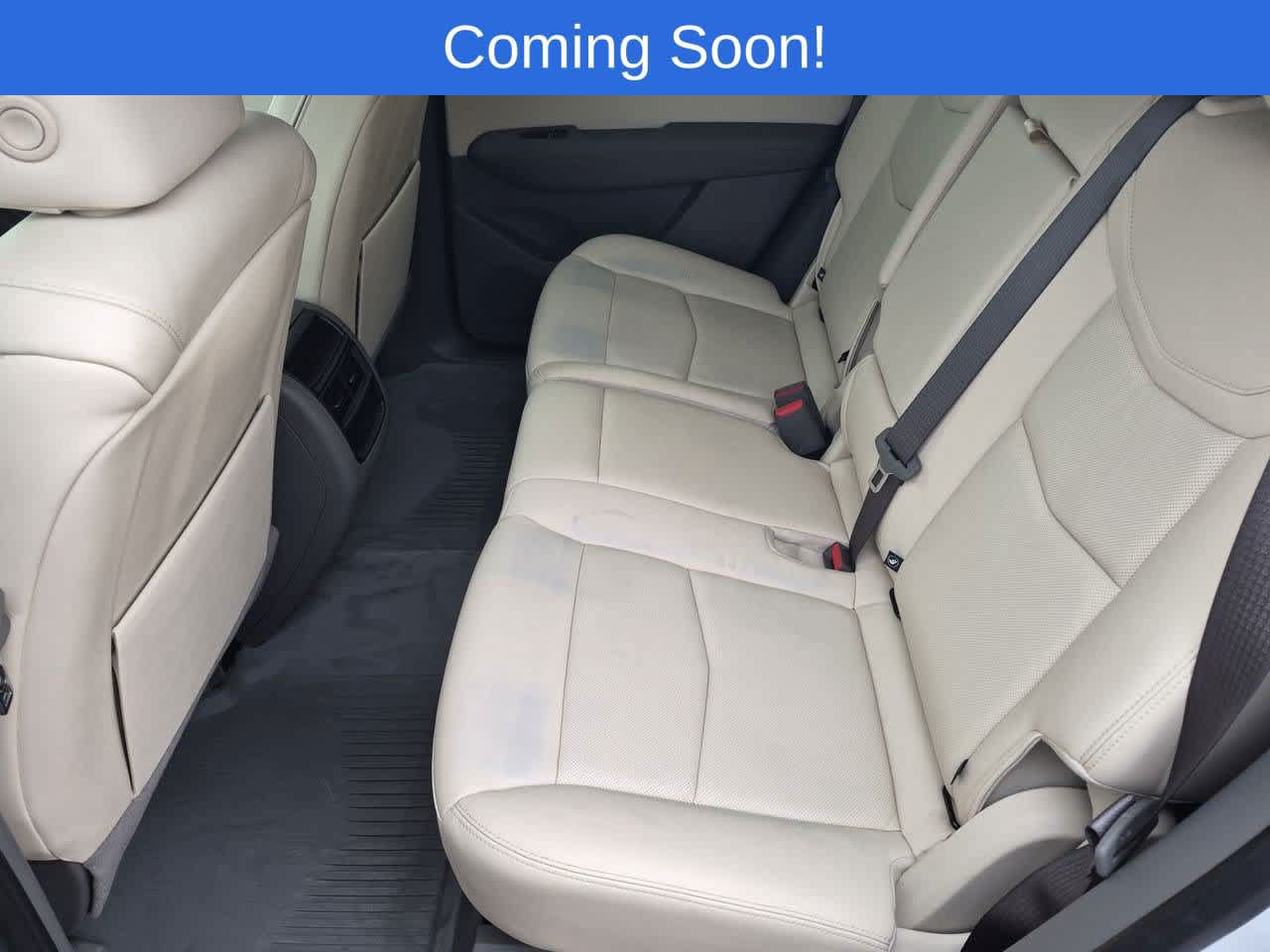 Used 2024 Cadillac XT5 Premium Luxury w/ LPO, Floor Liner Package AWD/4WD image 20