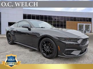 Certified 2024 Ford Mustang Premium 360° Tour