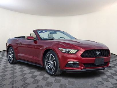Used 2016 Ford Mustang Premium w/ Equipment Group 201A