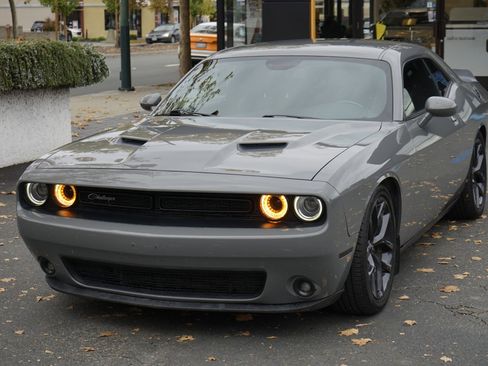 Used 2019 Dodge Challenger SXT w/ Blacktop Package image 3