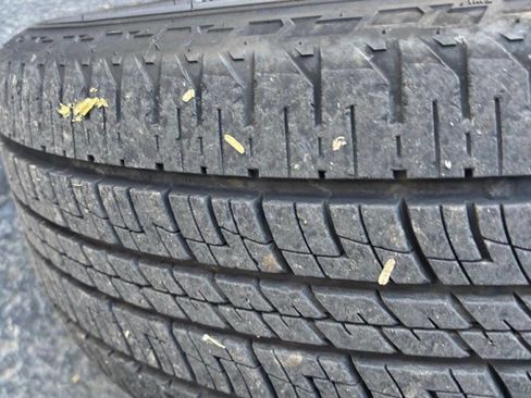 Used 2019 Chevrolet Equinox Premier image 10