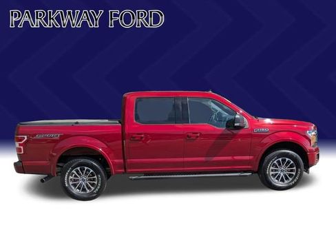 Used 2019 Ford F150 XLT w/ Equipment Group 302A Luxury image 4