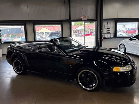 Used 1999 Ford Mustang Cobra RWD image 16