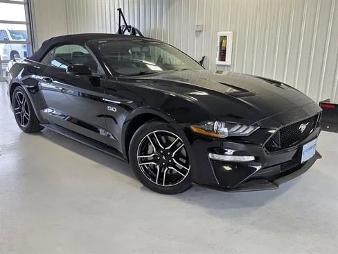 Used 2019 Ford Mustang GT Premium w/ Equipment Group 401A image 1