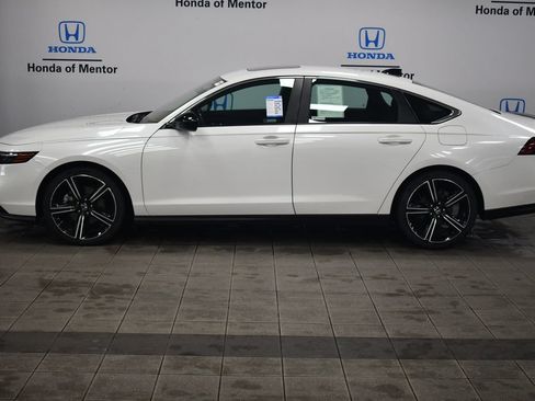 Used 2024 Honda Accord Sport image 5