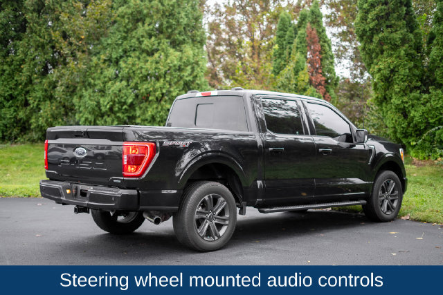 Used 2023 Ford F150 XLT w/ Equipment Group 302A High AWD/4WD image 5
