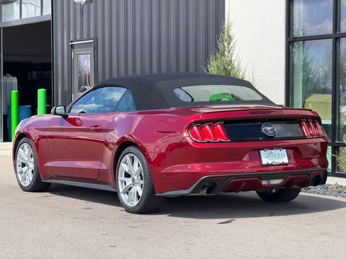 Used 2015 Ford Mustang Premium w/ Equipment Group 201A image 3