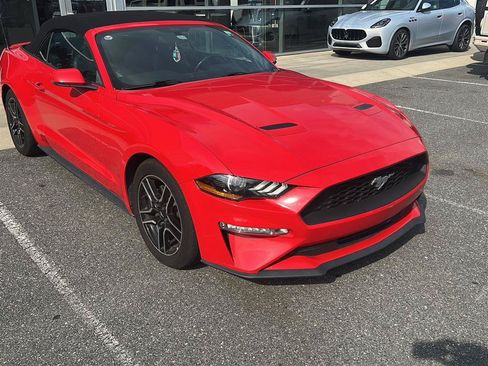 Used 2019 Ford Mustang Premium RWD image 8