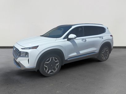 Used 2023 Hyundai Santa Fe SEL Premium