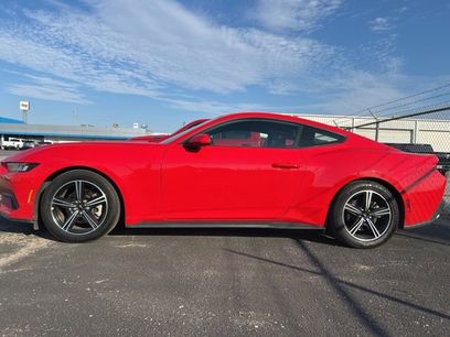 Used 2024 Ford Mustang Premium