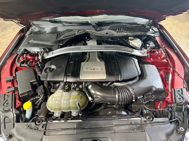 Used 2019 Ford Mustang GT Premium w/ Equipment Group 401A RWD image 26